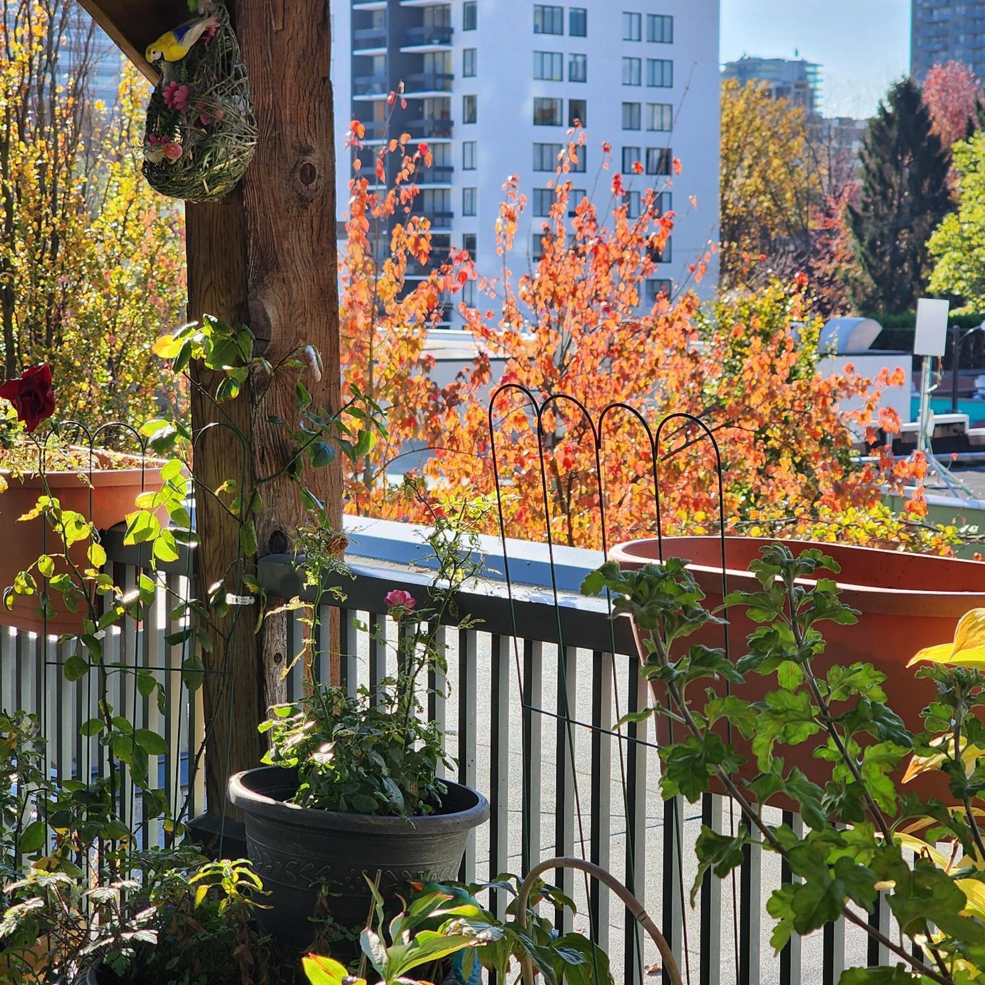 Times Square Suites Hotel Vancouver Exterior foto